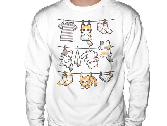Kitten Laundry Day