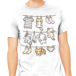 Kitten Laundry Day