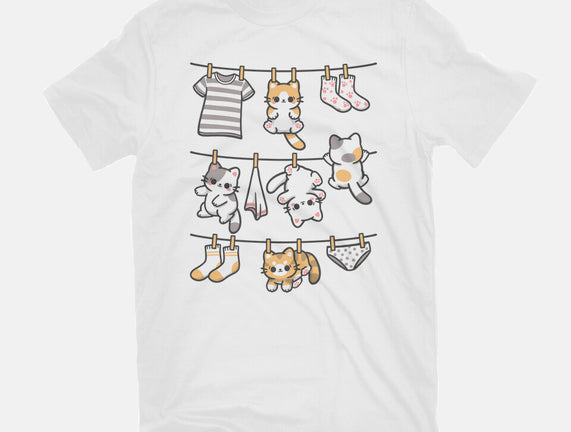 Kitten Laundry Day