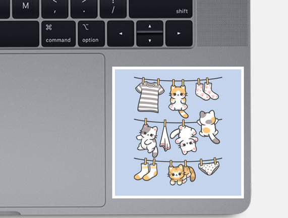 Kitten Laundry Day