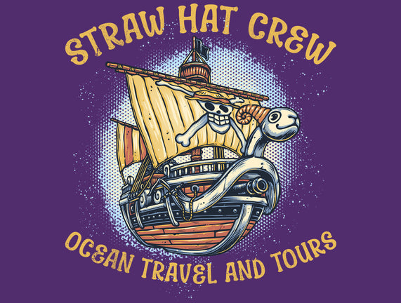 Ocean Travel And Tours