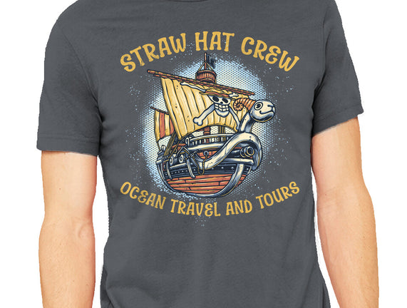 Ocean Travel And Tours