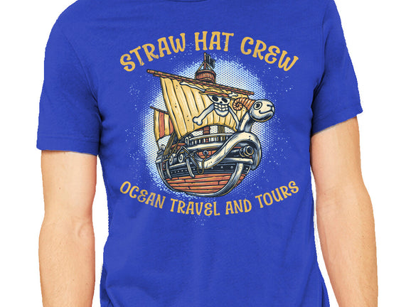 Ocean Travel And Tours