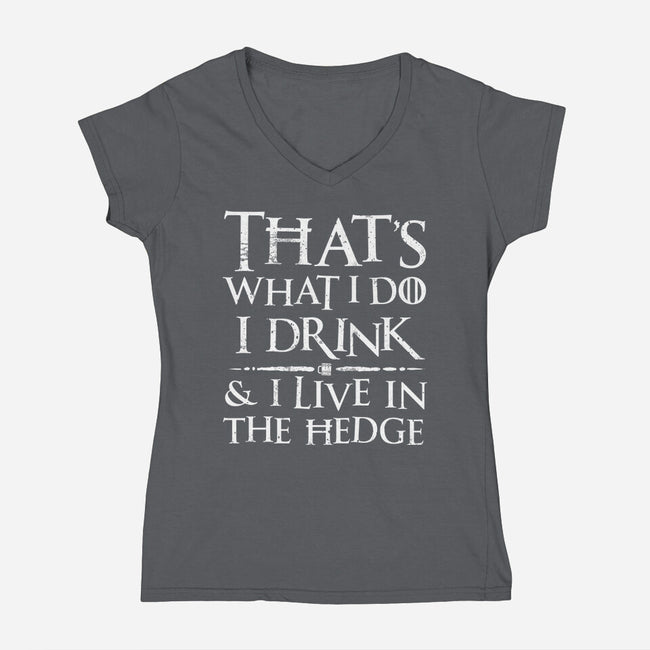 I Know Things-Womens-V-Neck-Tee-rocketman_art