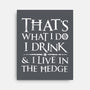 I Know Things-None-Stretched-Canvas-rocketman_art