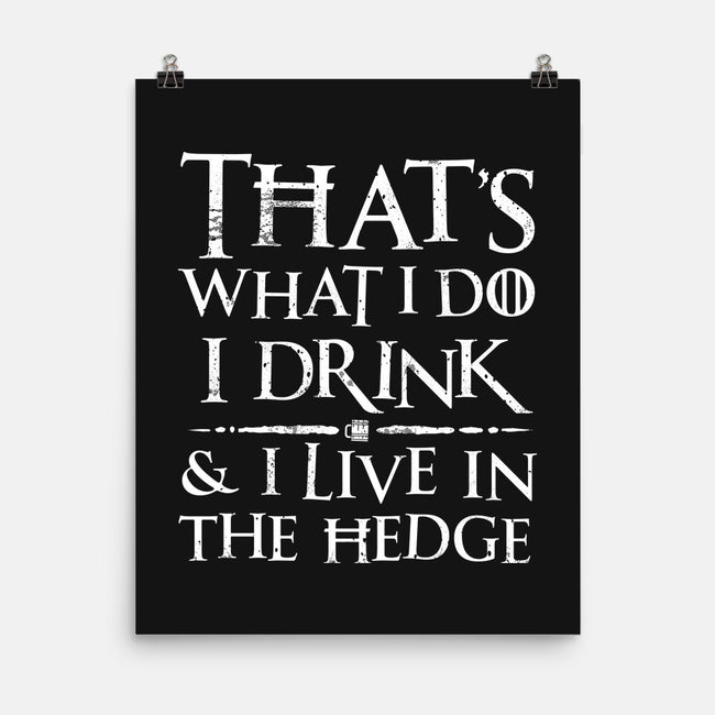 I Know Things-None-Matte-Poster-rocketman_art