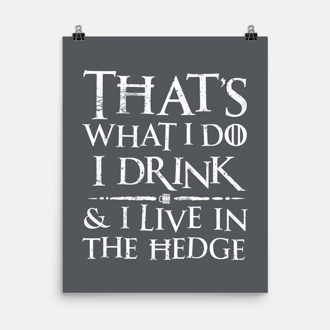 I Know Things-None-Matte-Poster-rocketman_art