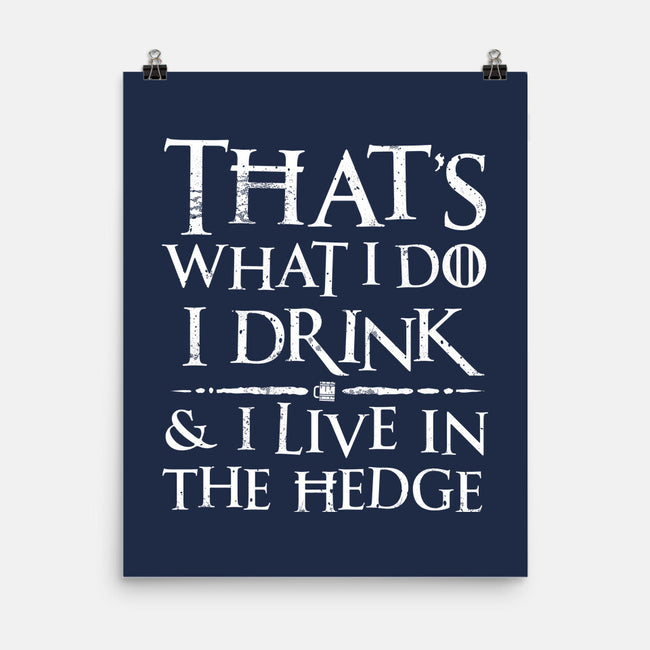 I Know Things-None-Matte-Poster-rocketman_art