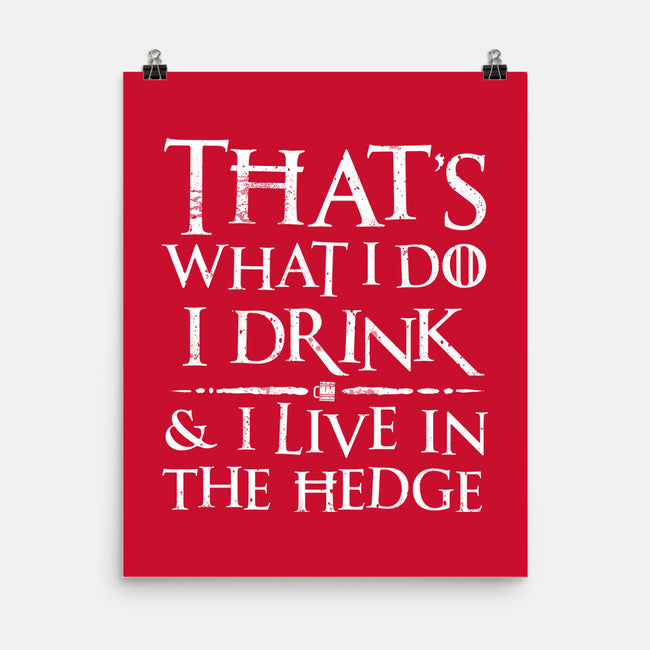 I Know Things-None-Matte-Poster-rocketman_art