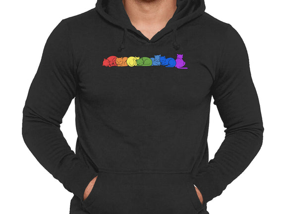 Rainbow Cats Pride