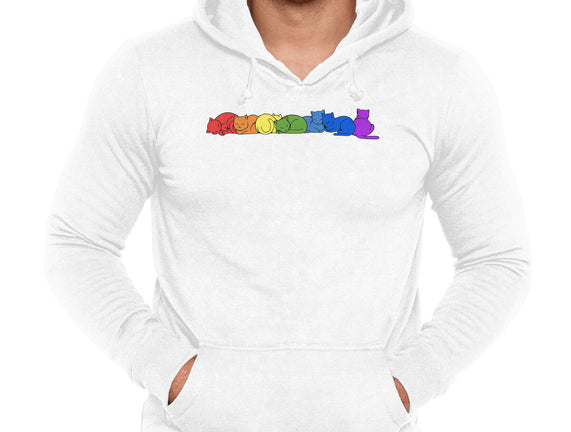 Rainbow Cats Pride