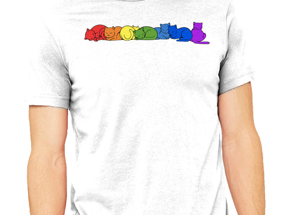 Rainbow Cats Pride