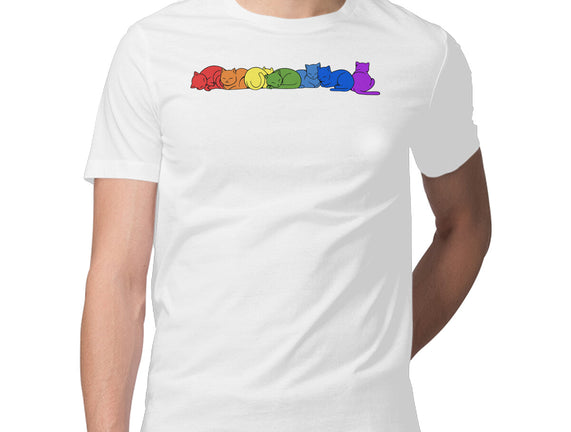 Rainbow Cats Pride
