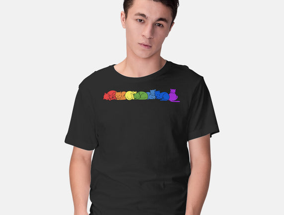 Rainbow Cats Pride