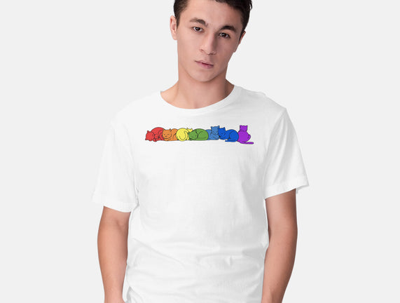 Rainbow Cats Pride