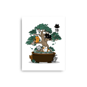 Bonsai Kittens
