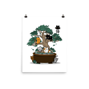 Bonsai Kittens