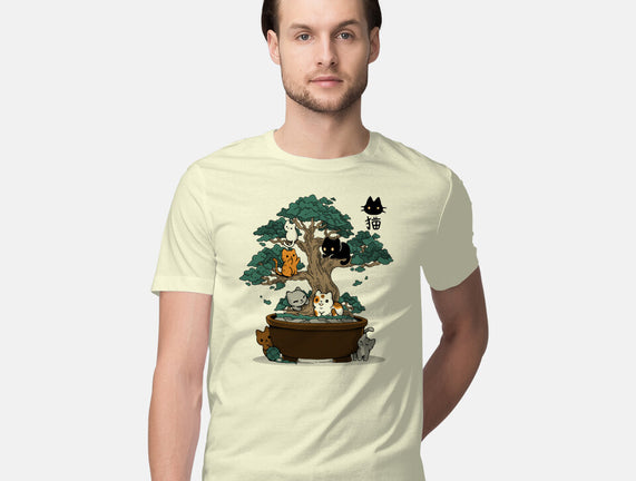 Bonsai Kittens