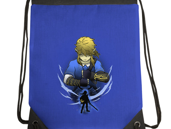 Hylian Champion Shadowwork