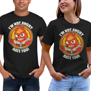 Not Angry I Just Hate You