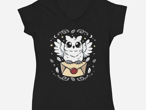 The Magic Owl