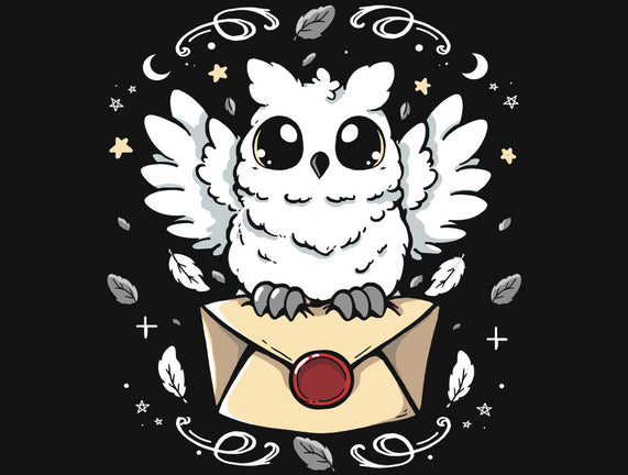The Magic Owl
