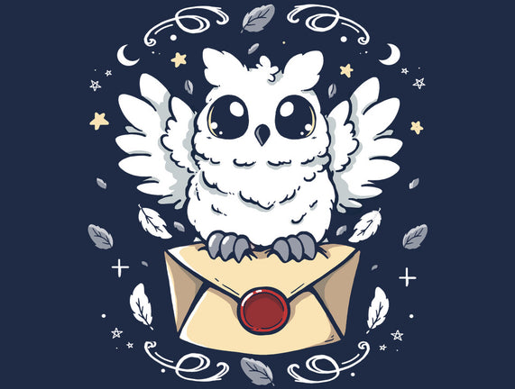 The Magic Owl