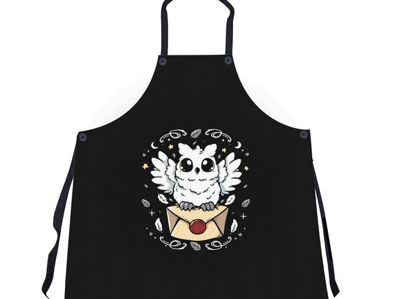 The Magic Owl