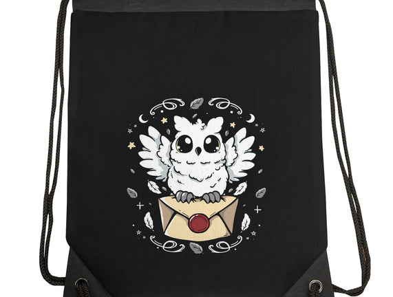 The Magic Owl