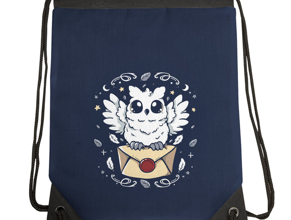 The Magic Owl