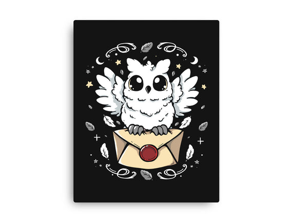 The Magic Owl