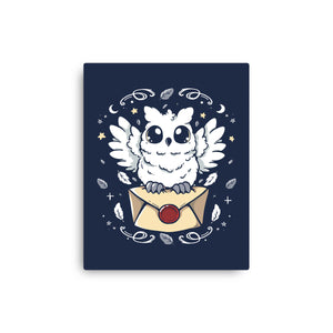 The Magic Owl