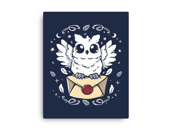 The Magic Owl