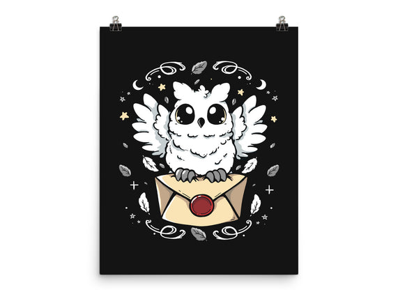 The Magic Owl
