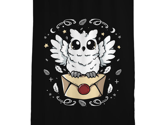 The Magic Owl