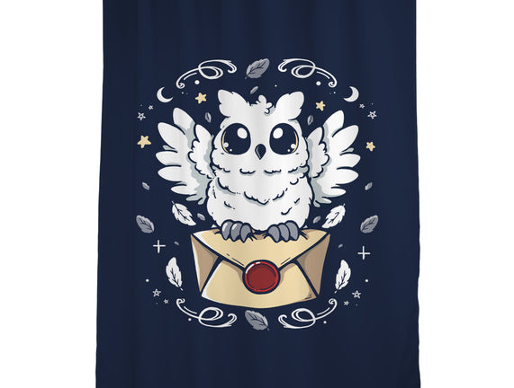 The Magic Owl