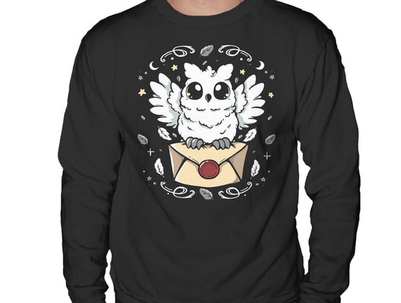 The Magic Owl