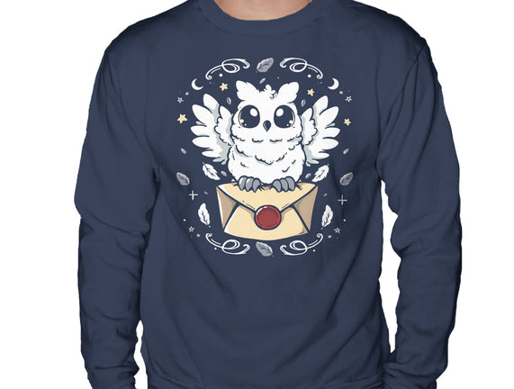 The Magic Owl
