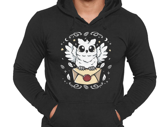 The Magic Owl