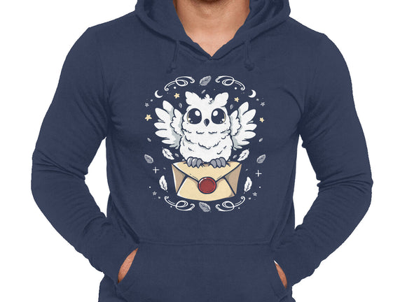 The Magic Owl