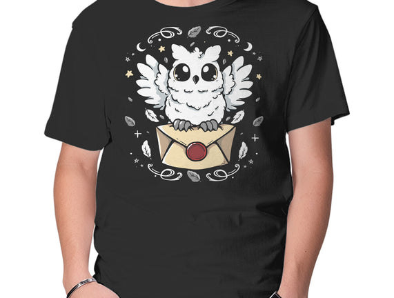 The Magic Owl