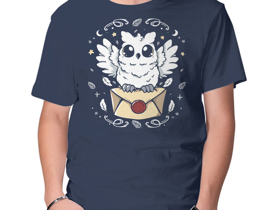 The Magic Owl