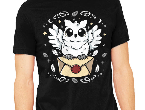The Magic Owl