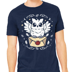 The Magic Owl