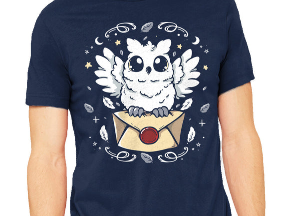 The Magic Owl