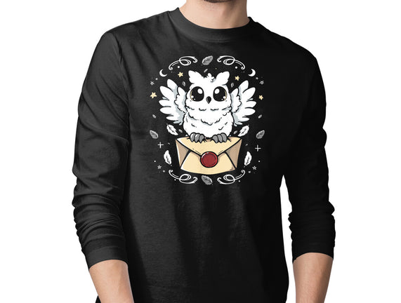 The Magic Owl