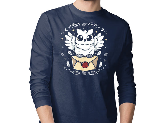 The Magic Owl