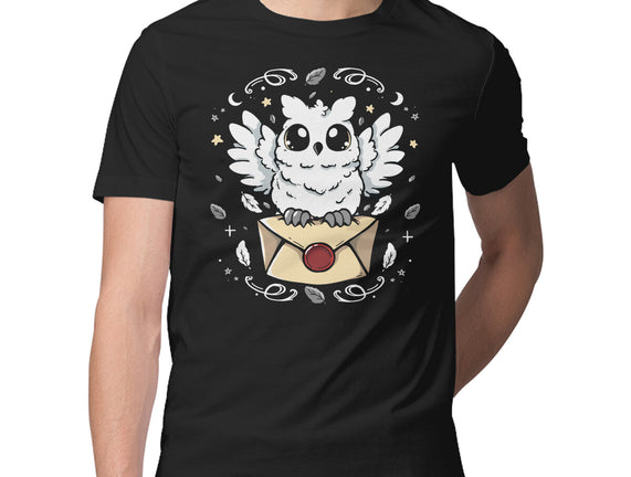 The Magic Owl