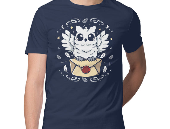 The Magic Owl