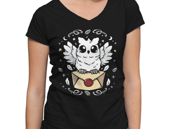 The Magic Owl